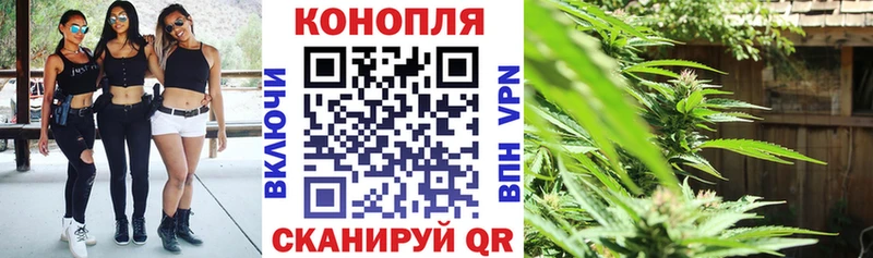 Марихуана сатива Волгореченск